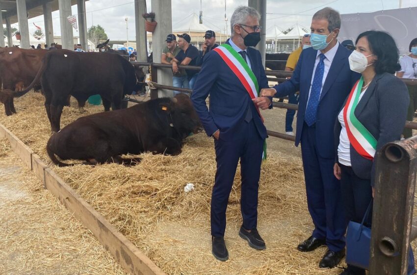  Fiera Agroalimentare Mediterranea, Musumeci a Ragusa: «Valorizzare le razze autoctone e conquistare nuovi mercati»