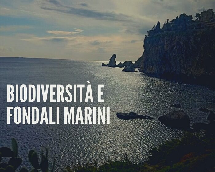  “Biodiversità e fondali marini”, tavola rotonda del ciclo “Scienza, politica e democrazia” a Palermo