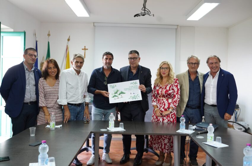  Tre comuni siciliani colpiti dagli incendi: la Cna dona 1000 alberi di ulivo a Gratteri, Lascari e Cefalù